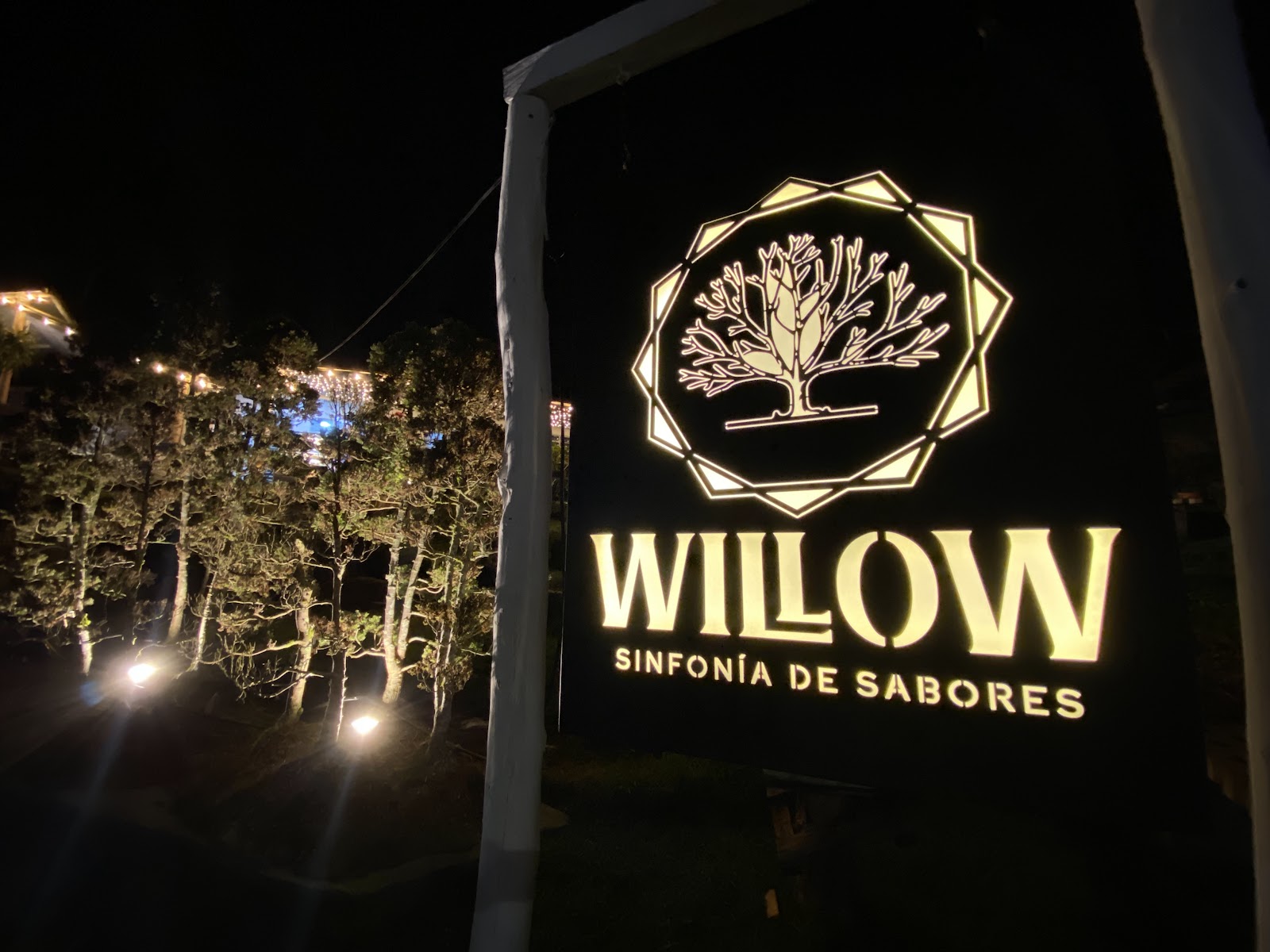 WILLOW, Sinfonía de sabores