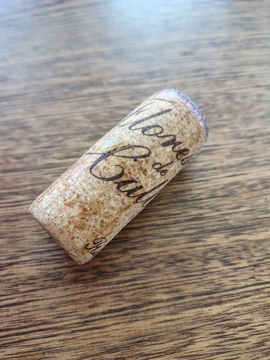 Vidabuena Bar de Vinos