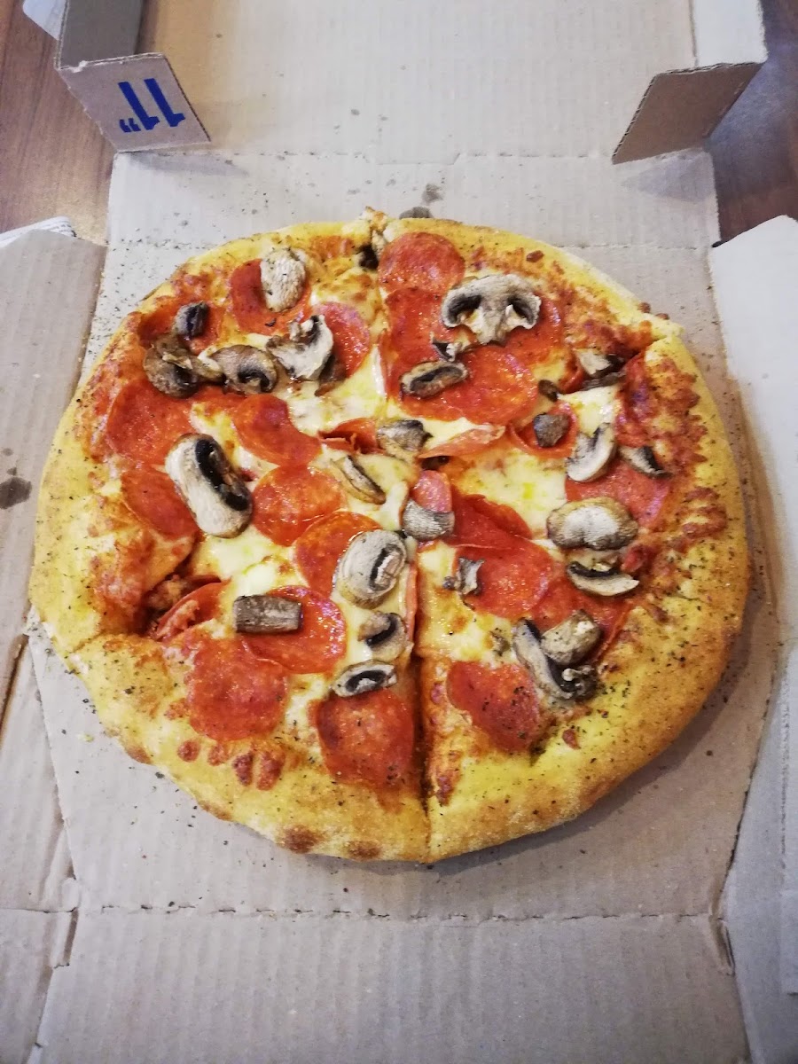 Domino's Pizza Los Colores