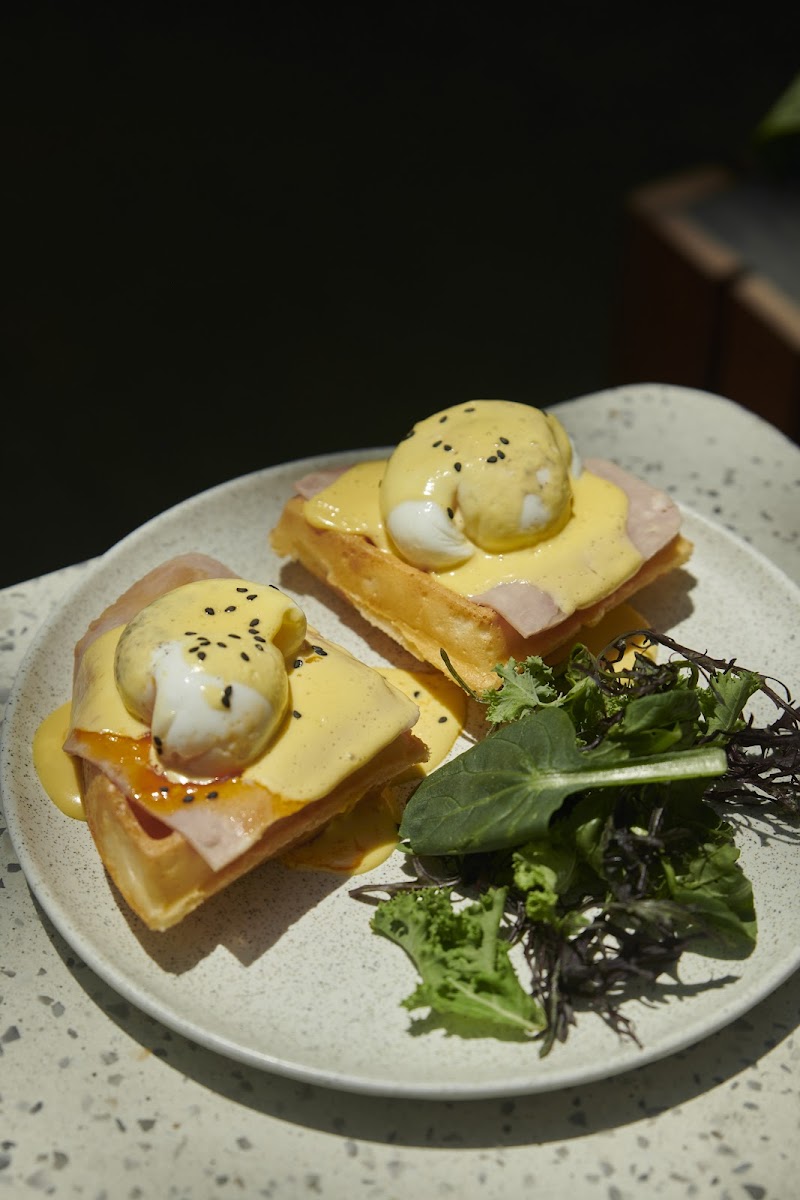 Urbania Café