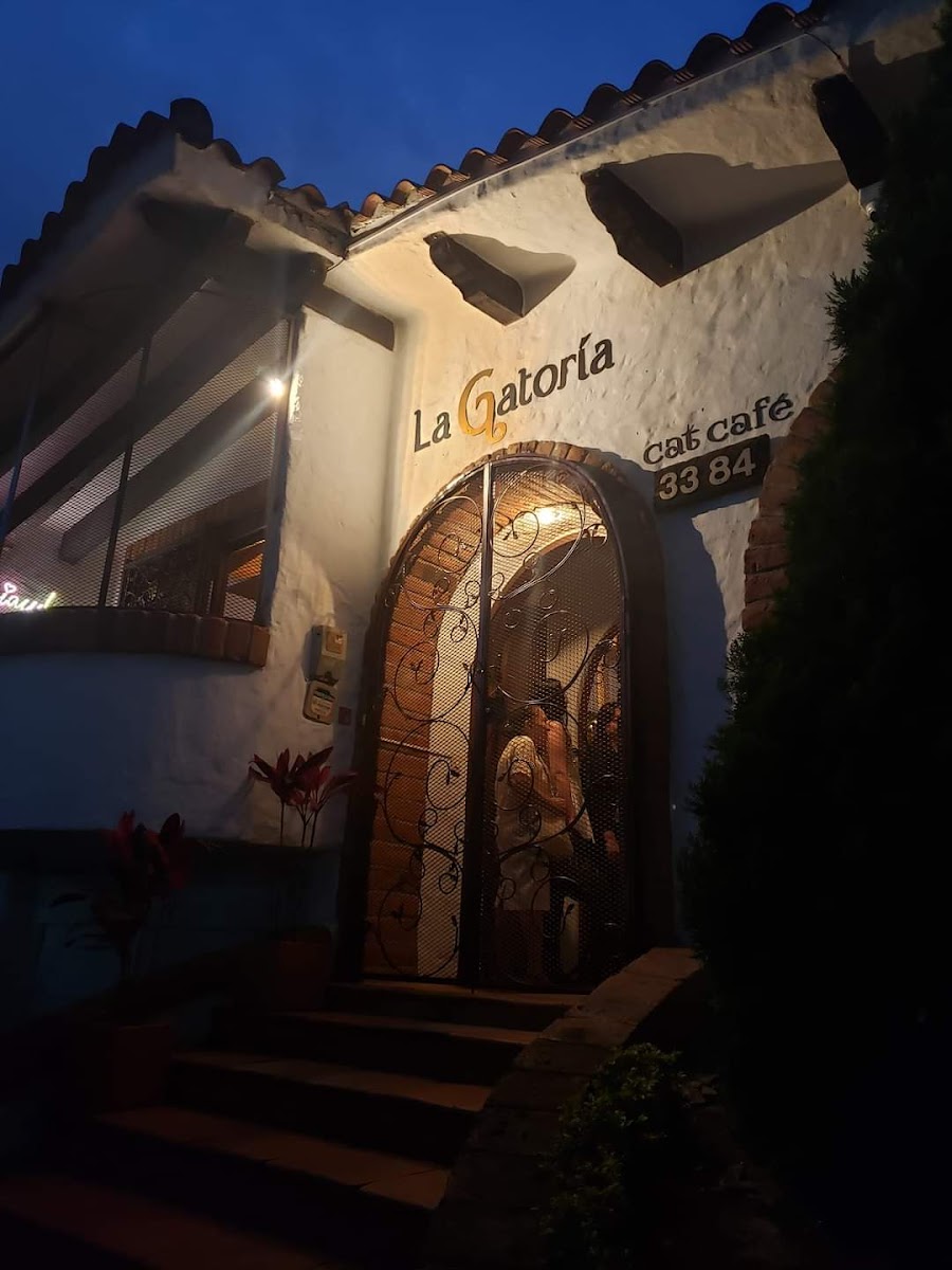 La Gatoria Cat Cafe