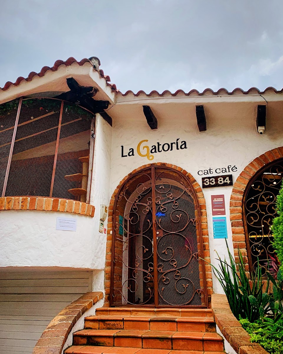 La Gatoria Cat Cafe