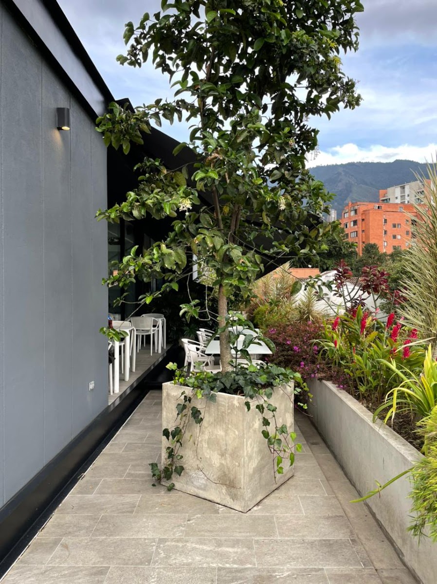 Restaurante Casa y Cocina