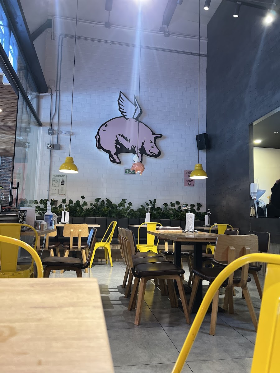 Pigasus Viva Palmas j