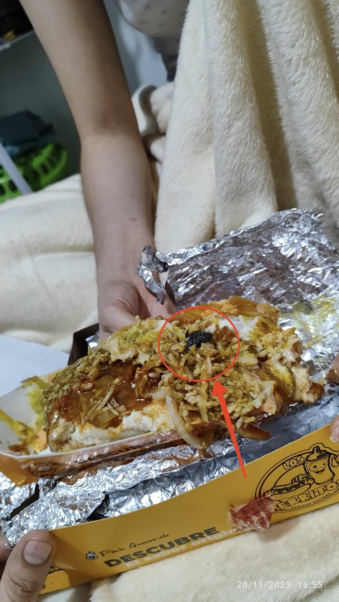 Los Perritos | Perros Calientes y Hamburguesas Sede Universidad