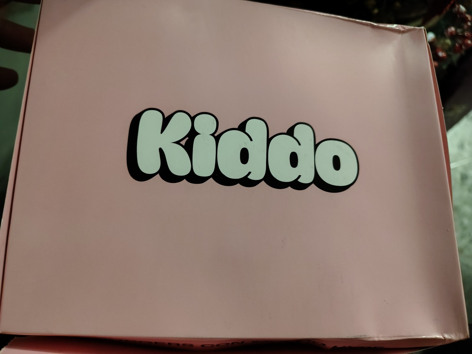 Kiddo burgers y fries