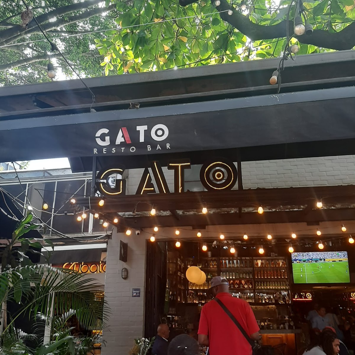GATO-RESTO BAR