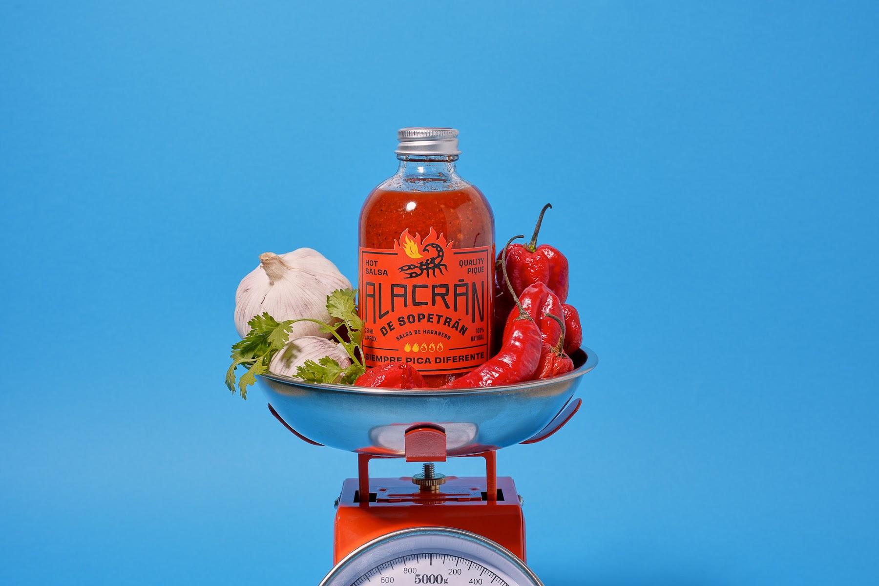 Taberna Alacrán