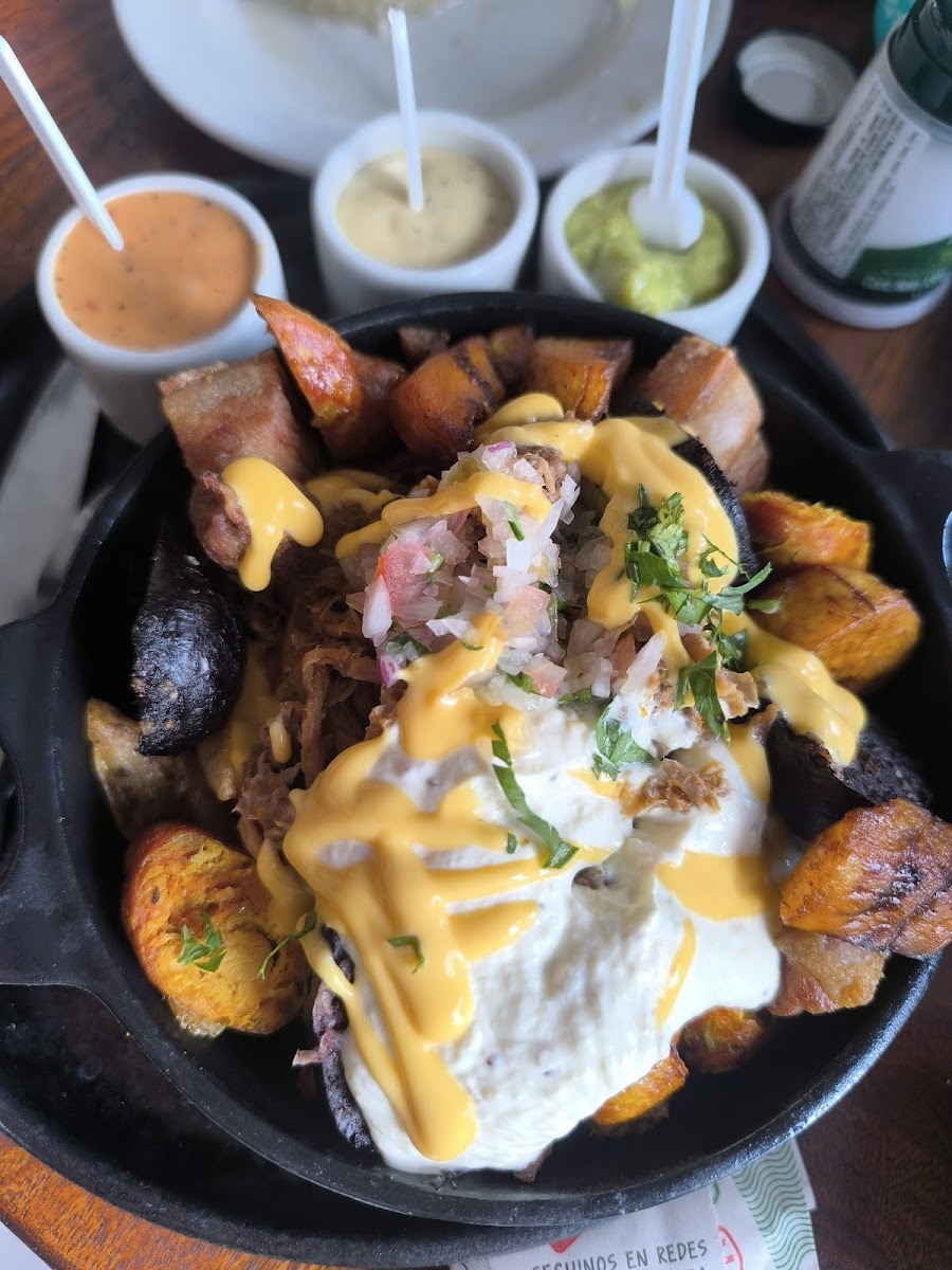 COCOROLLO PALMAS