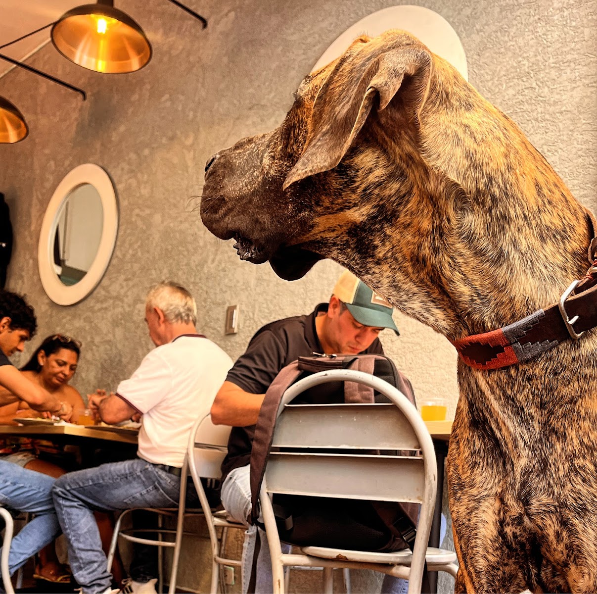 Restaurante La Sombrita