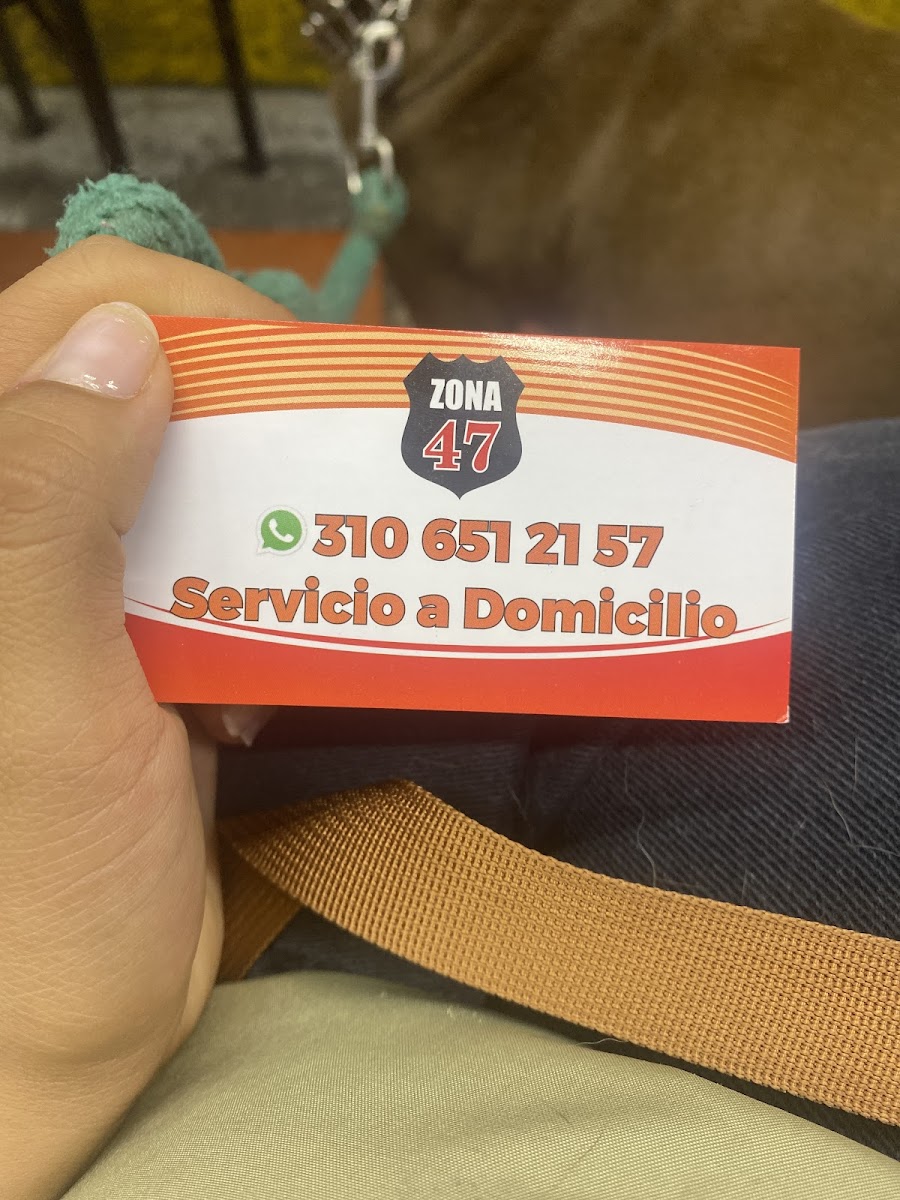 Zona 47