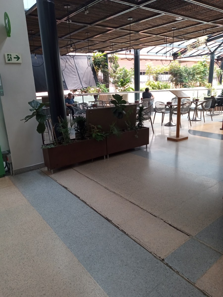 Todo Fresa Oviedo