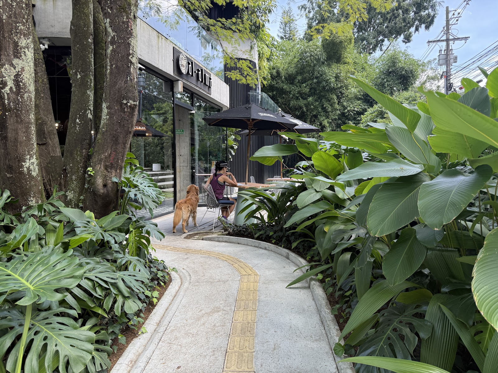 Al Alma Café Restaurante - La inferior
