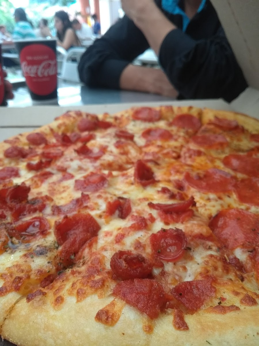 Domino's Pizza Visitación