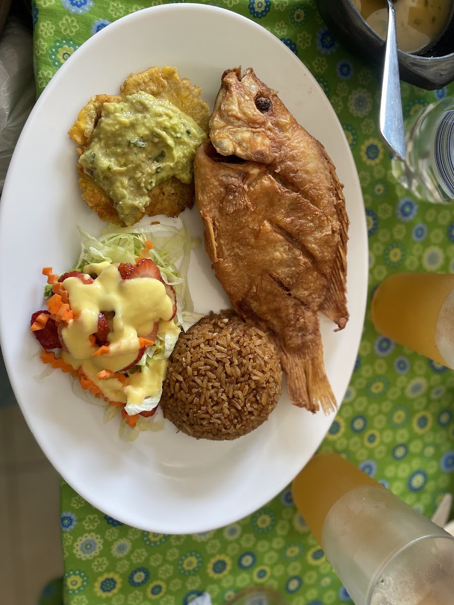 Chocó con Amor