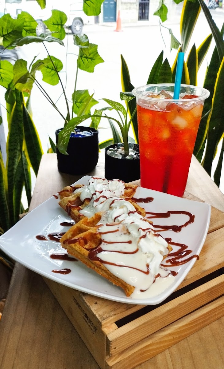 Brave Protein bebidas y comidas saludables