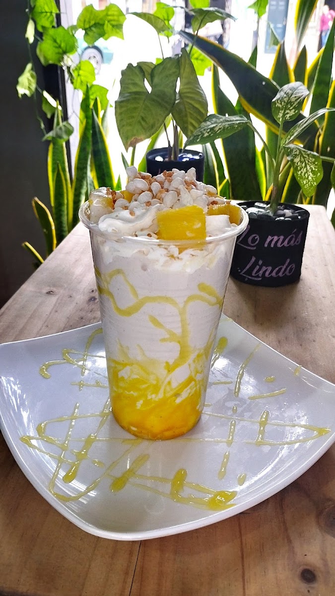 Brave Protein bebidas y comidas saludables