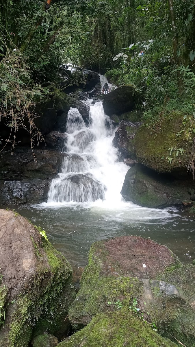 La Daniela