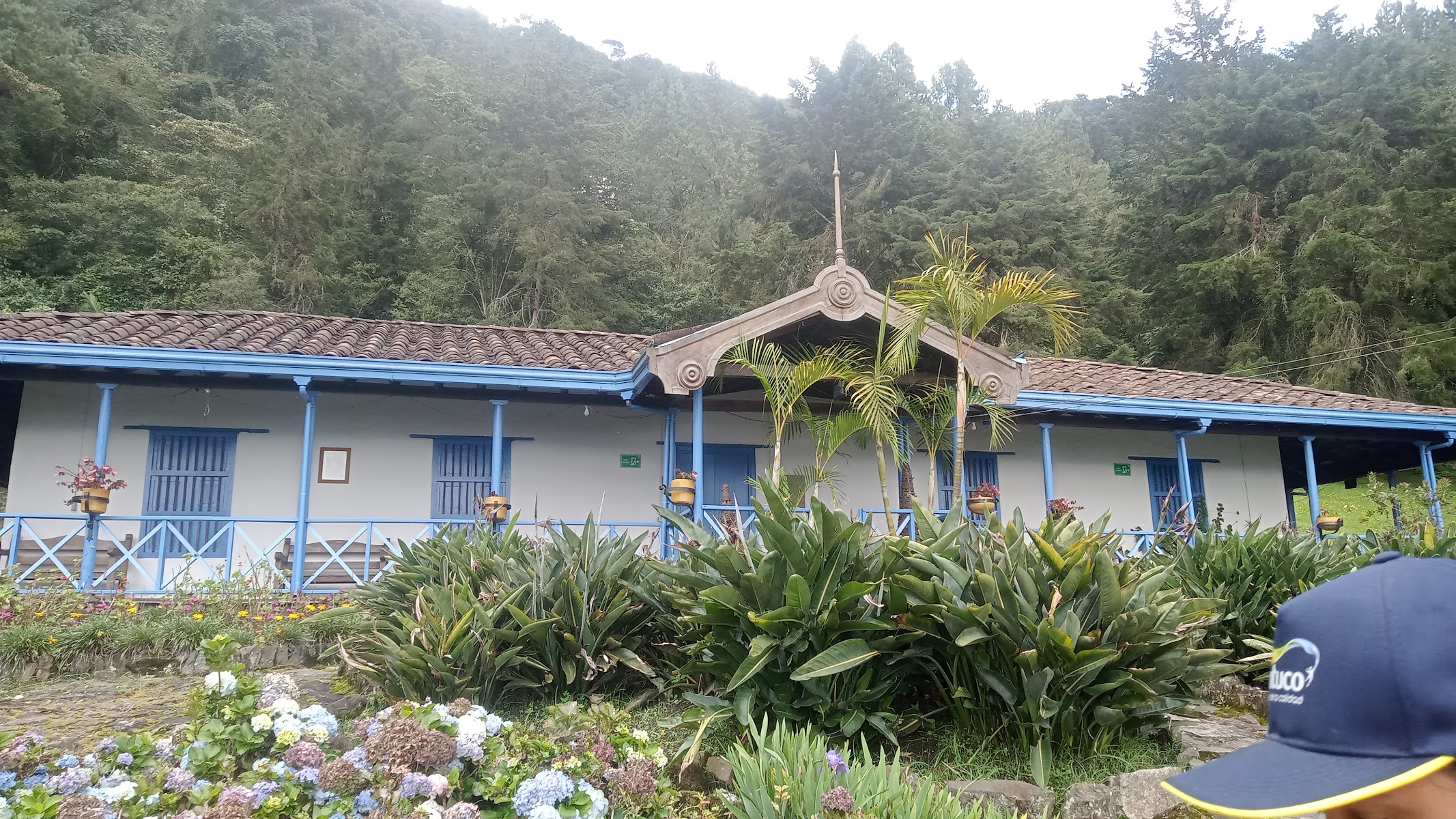 La Daniela