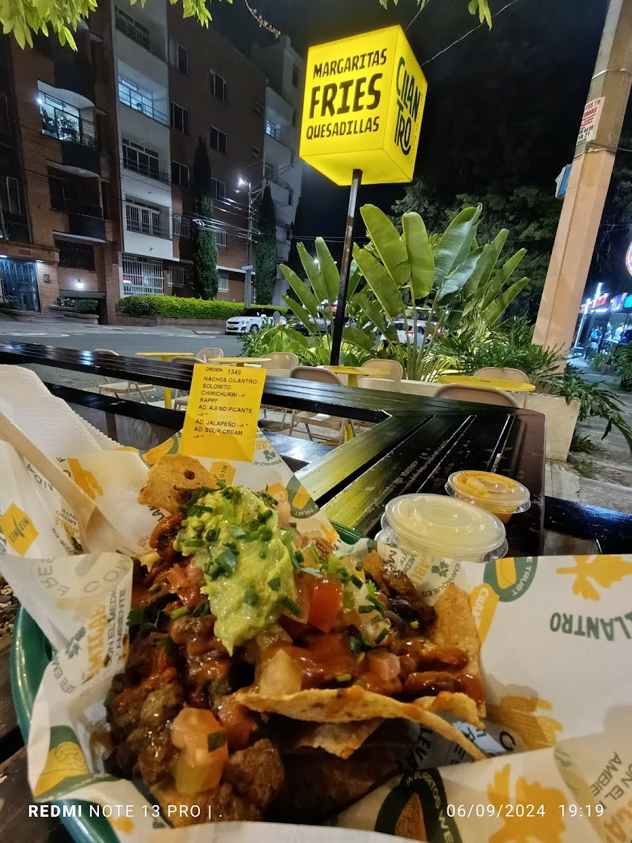 Cilantro