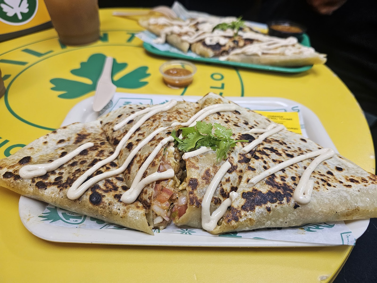 Cilantro