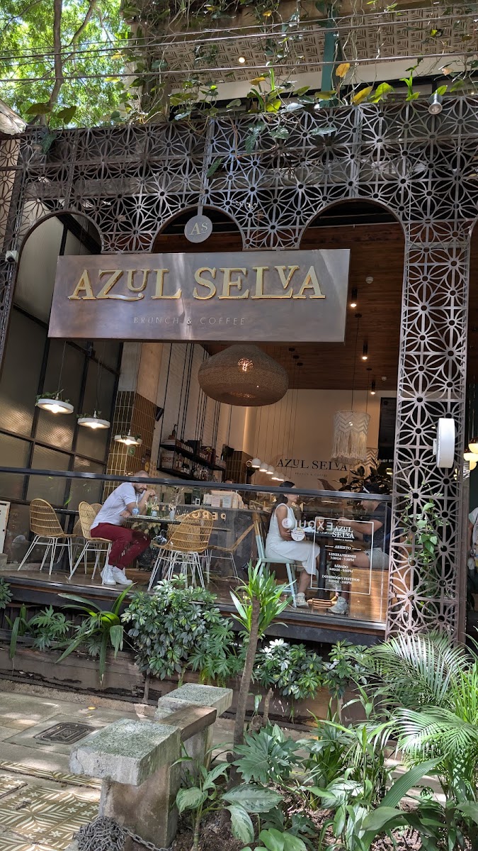 Azul Selva