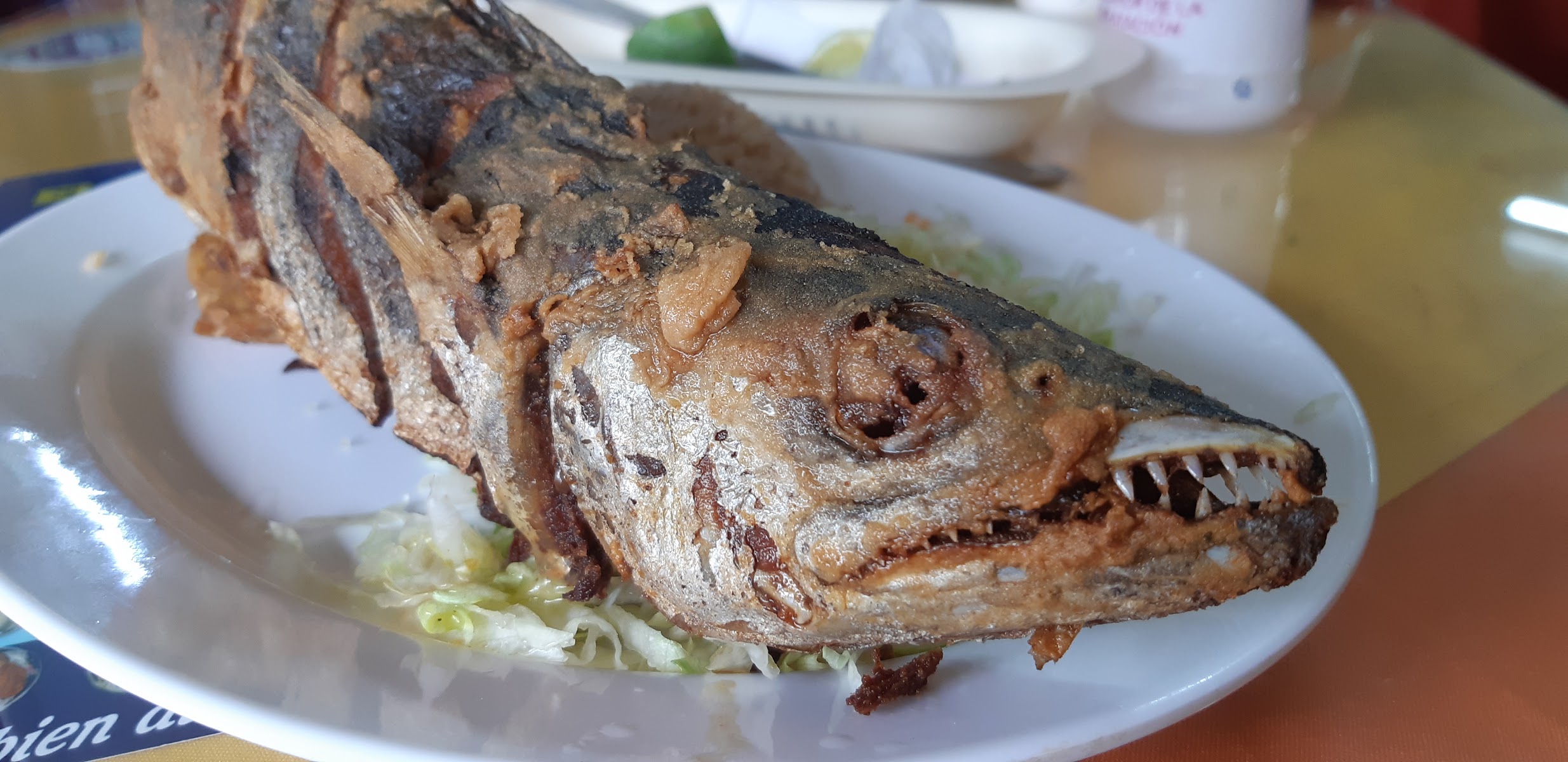 Restaurante El Rincón Chocoano