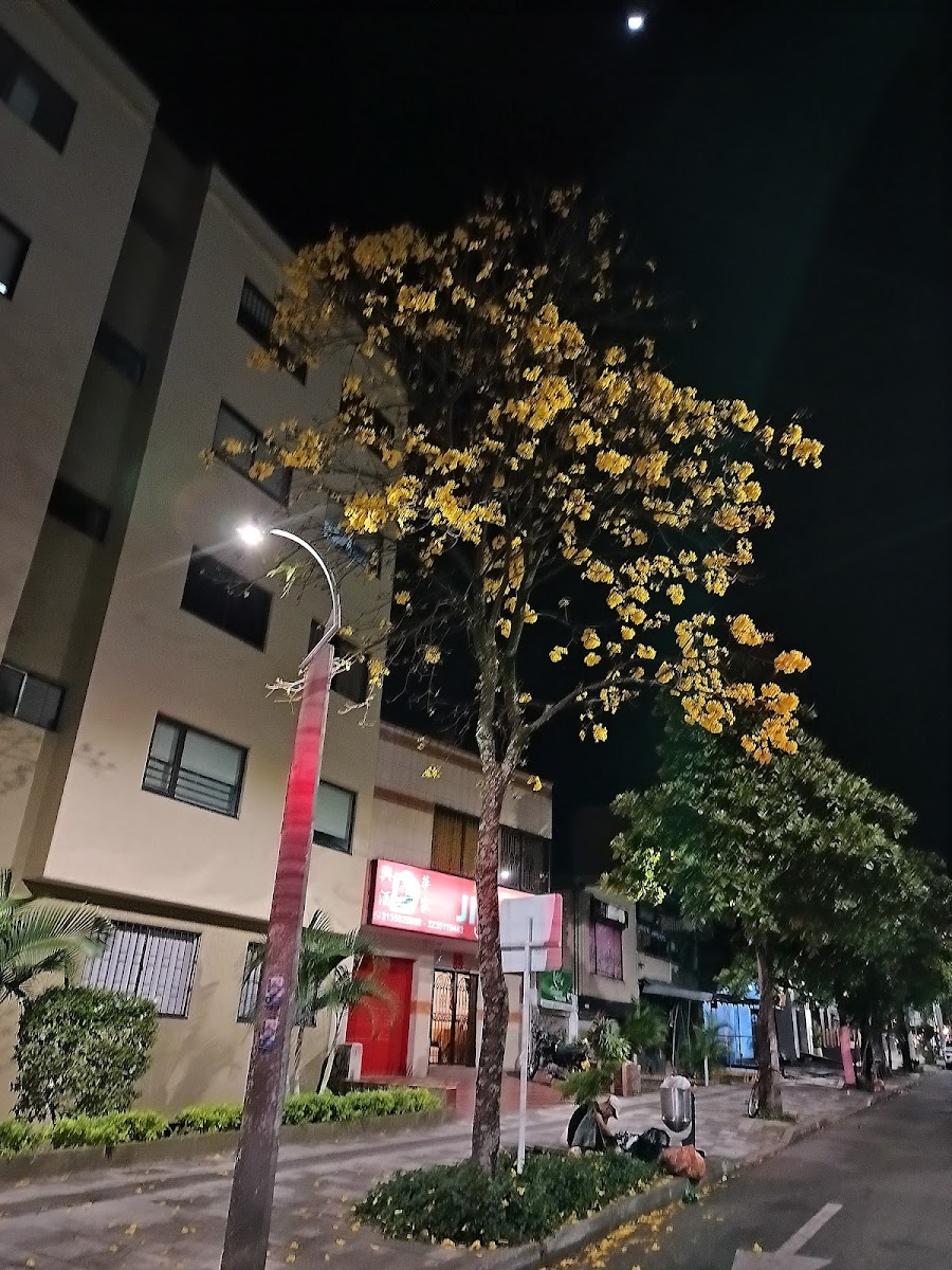 Jin Wah