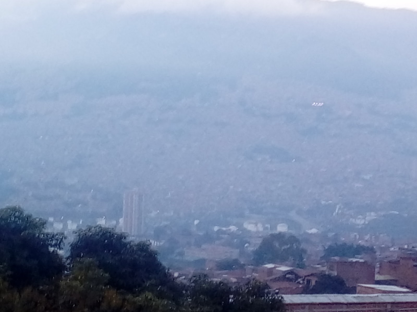 El Palo