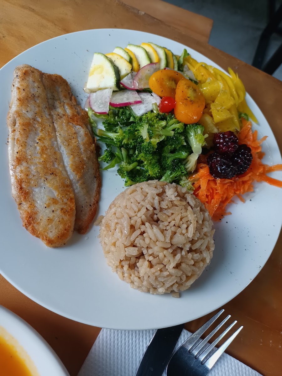 Fitta Urban Fresh