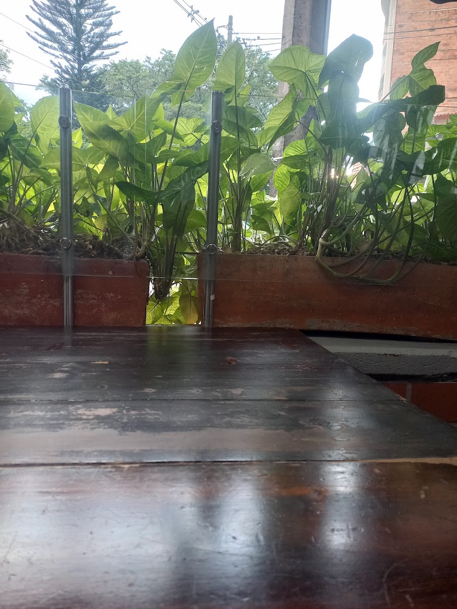 Tierra Querida Laureles la 70