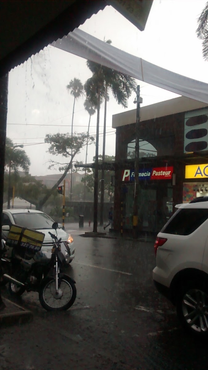 BAR LIDO