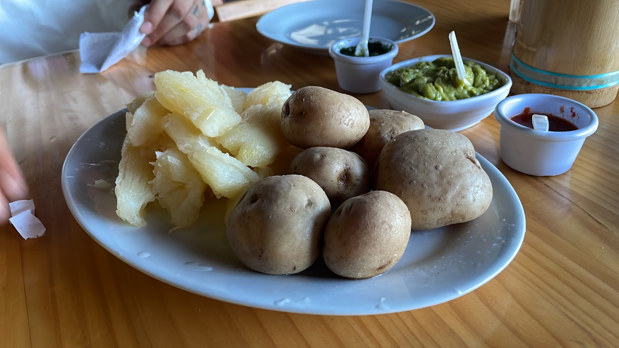 el porton llanero