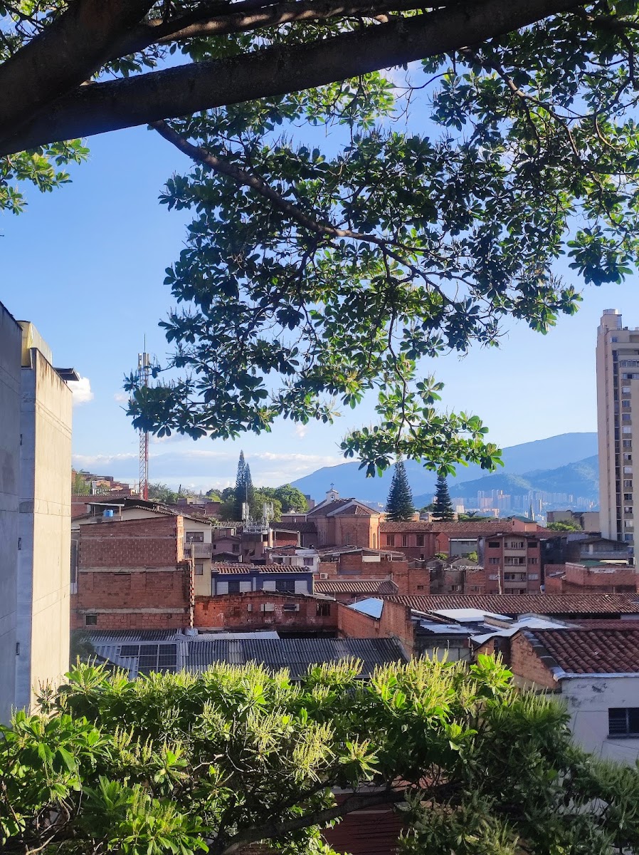 El zarzo - Claustro Comfama