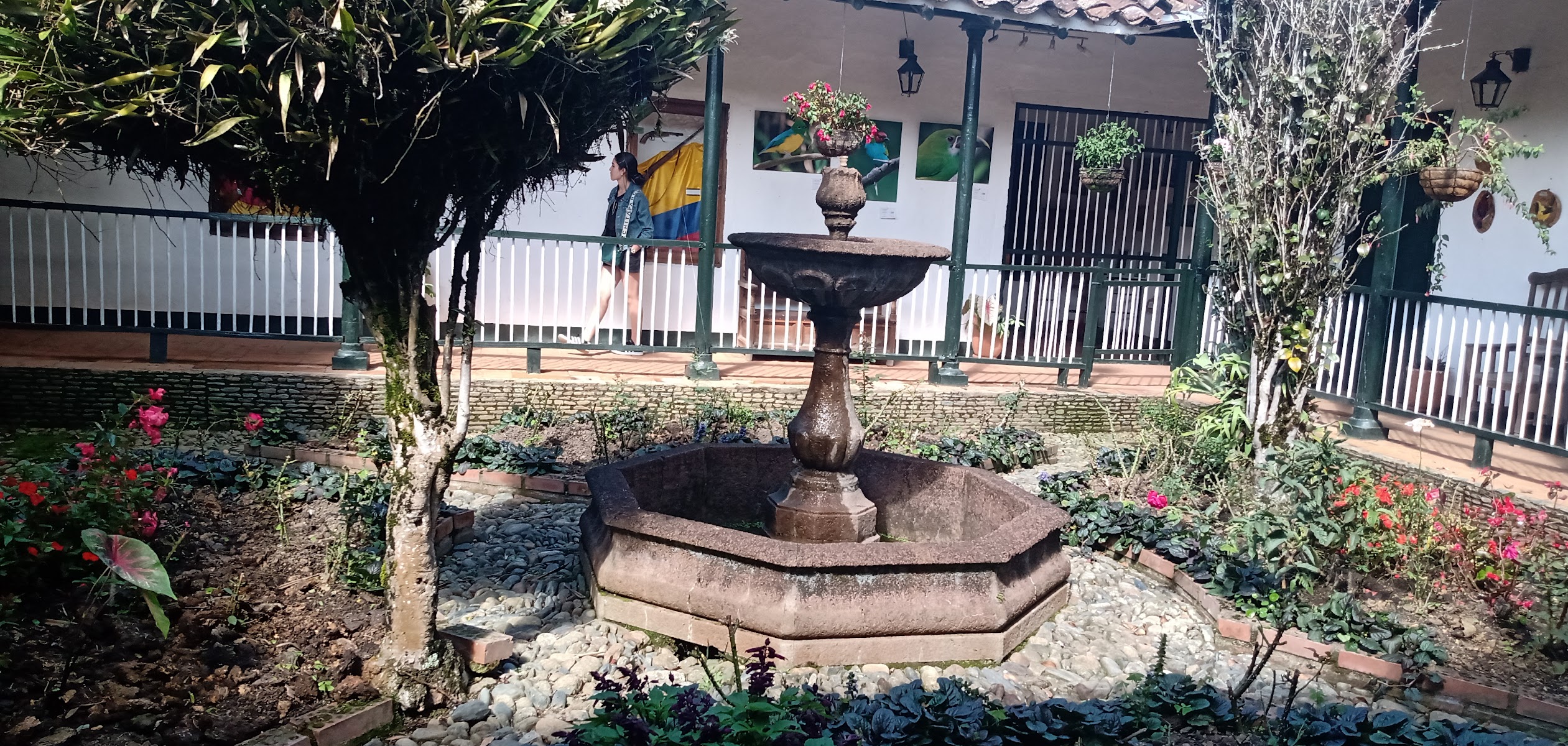 Concepcion