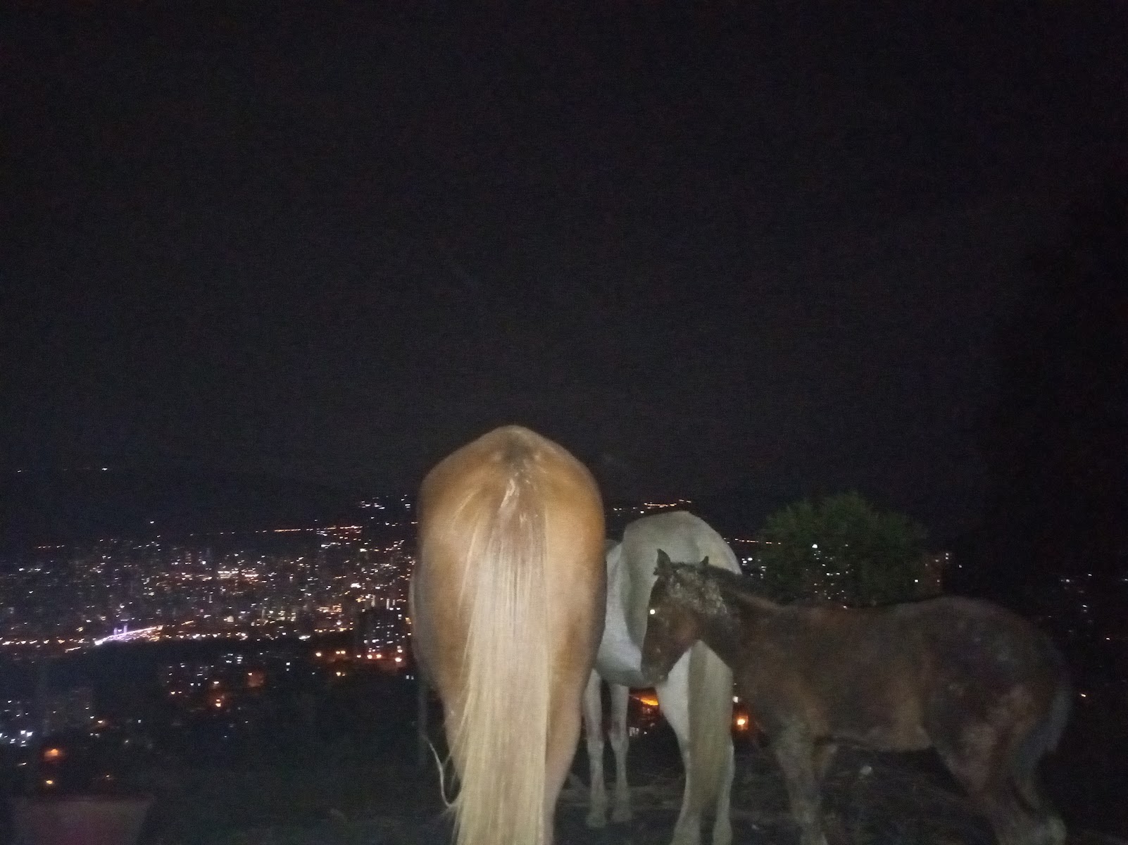 Las Patatas Mirador