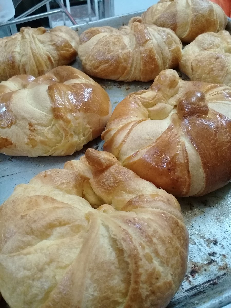 Trigo Delicias