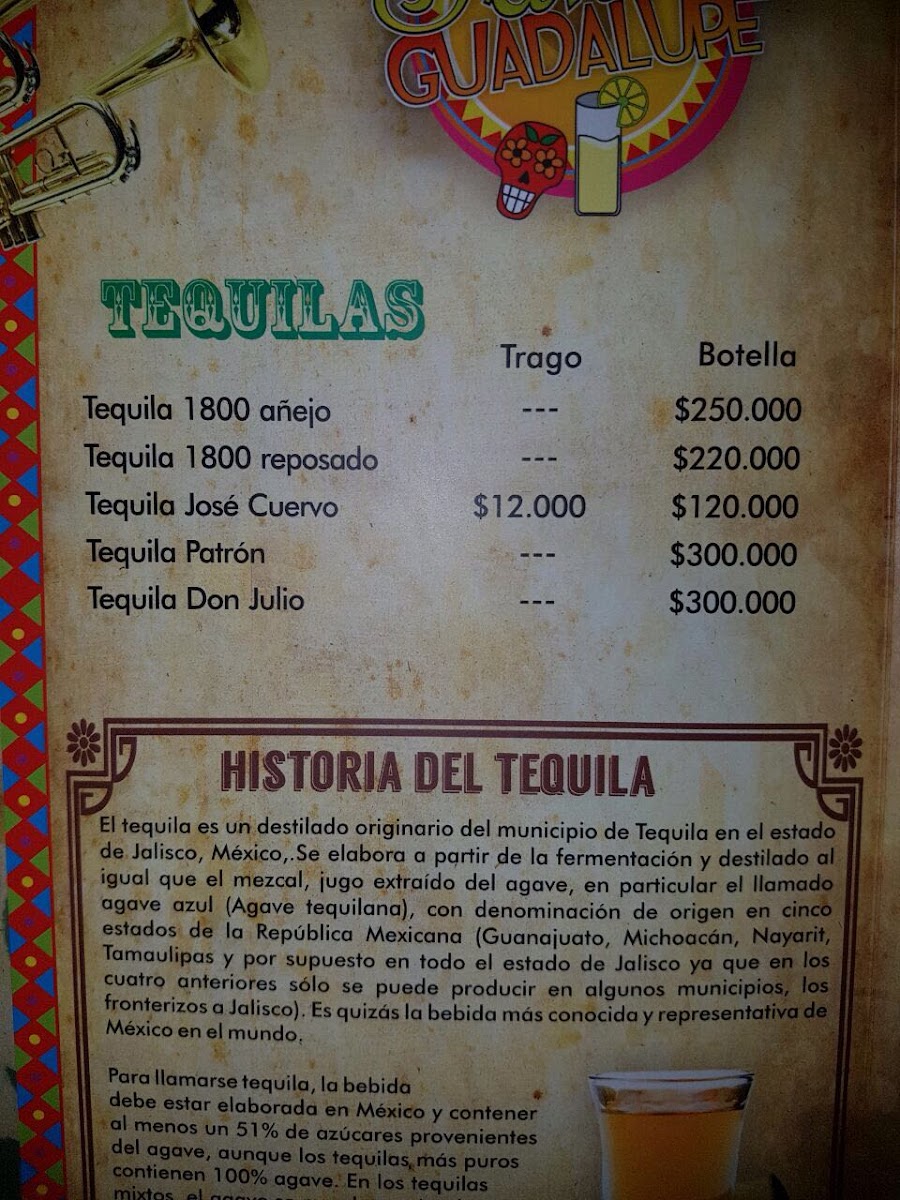 Fonda Karaoke Santa Guadalupe