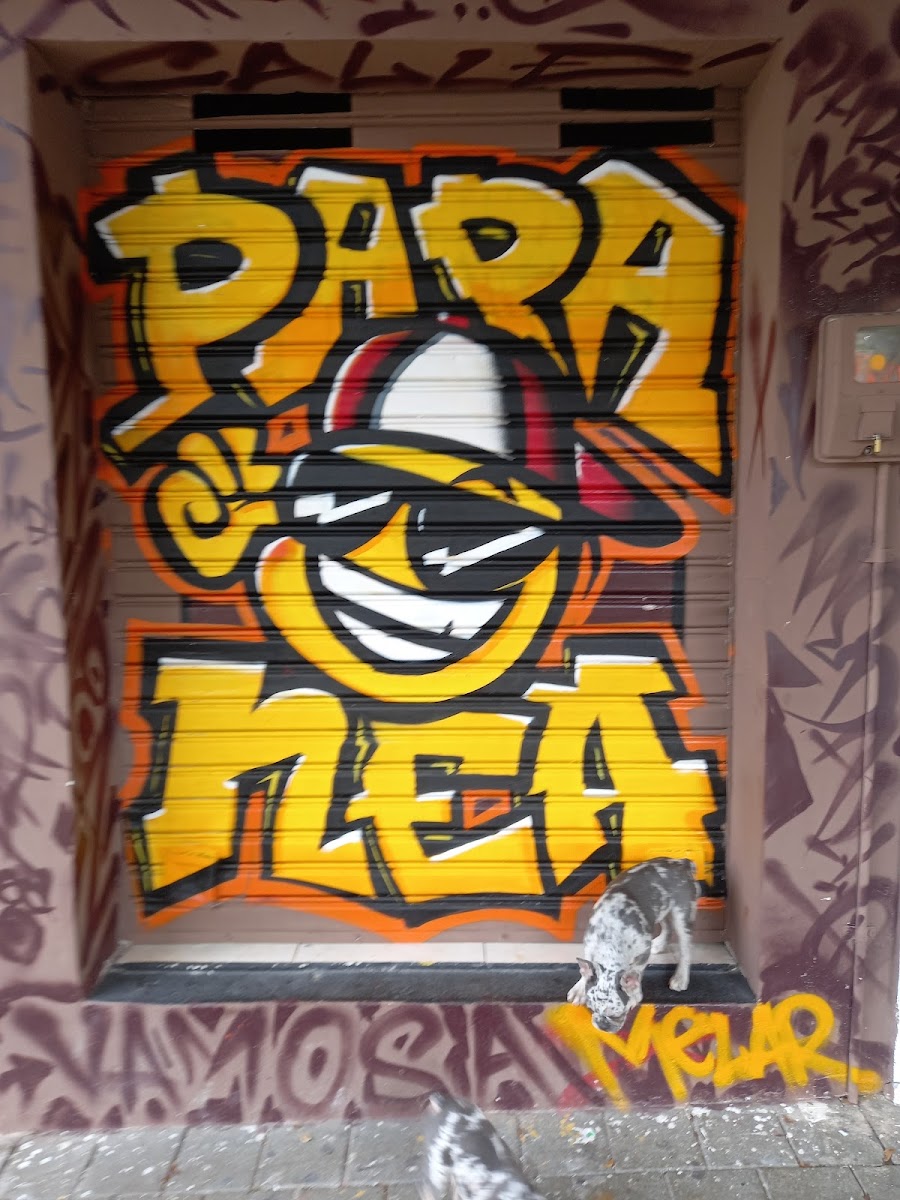 Papa nea