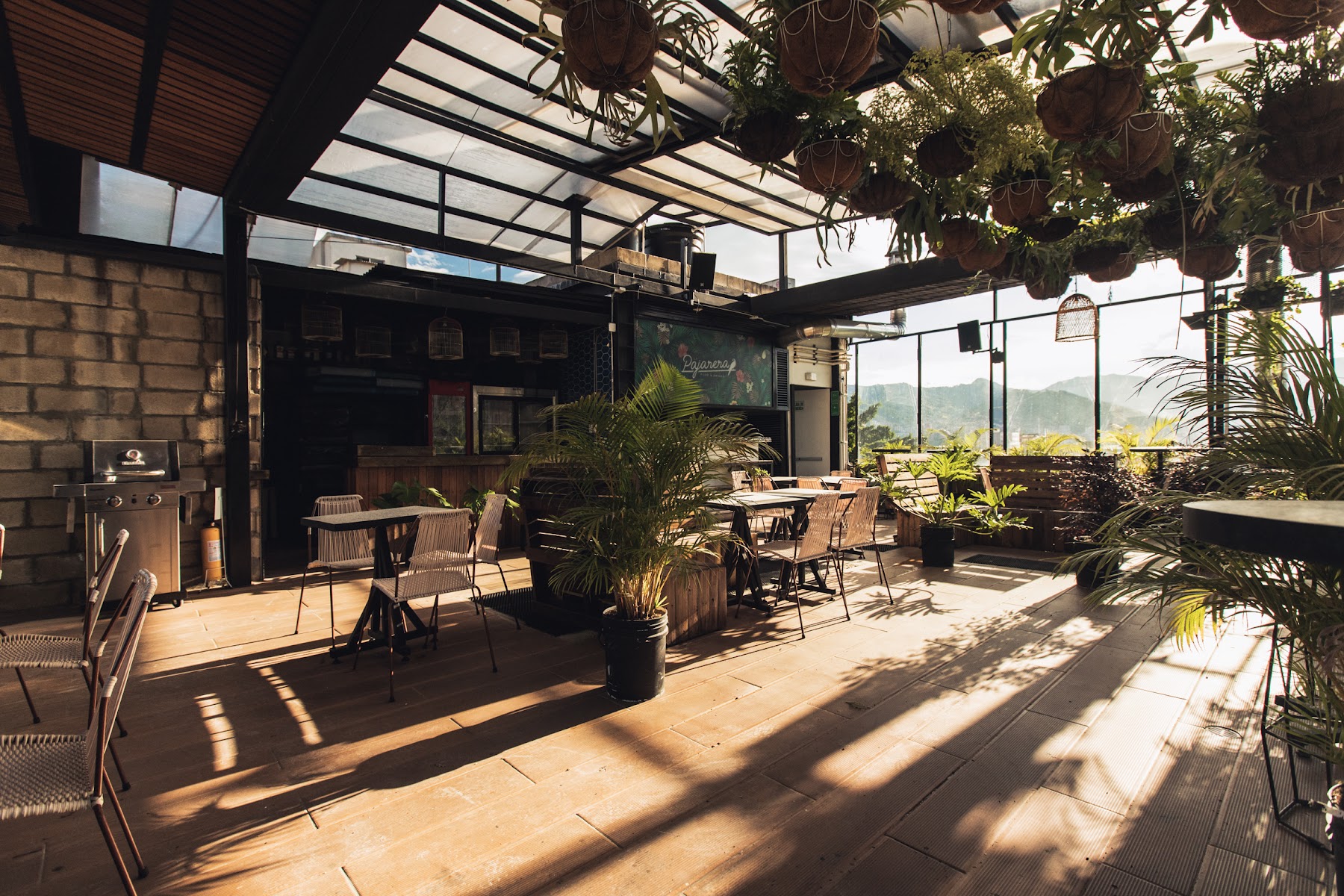 Oasis lleras