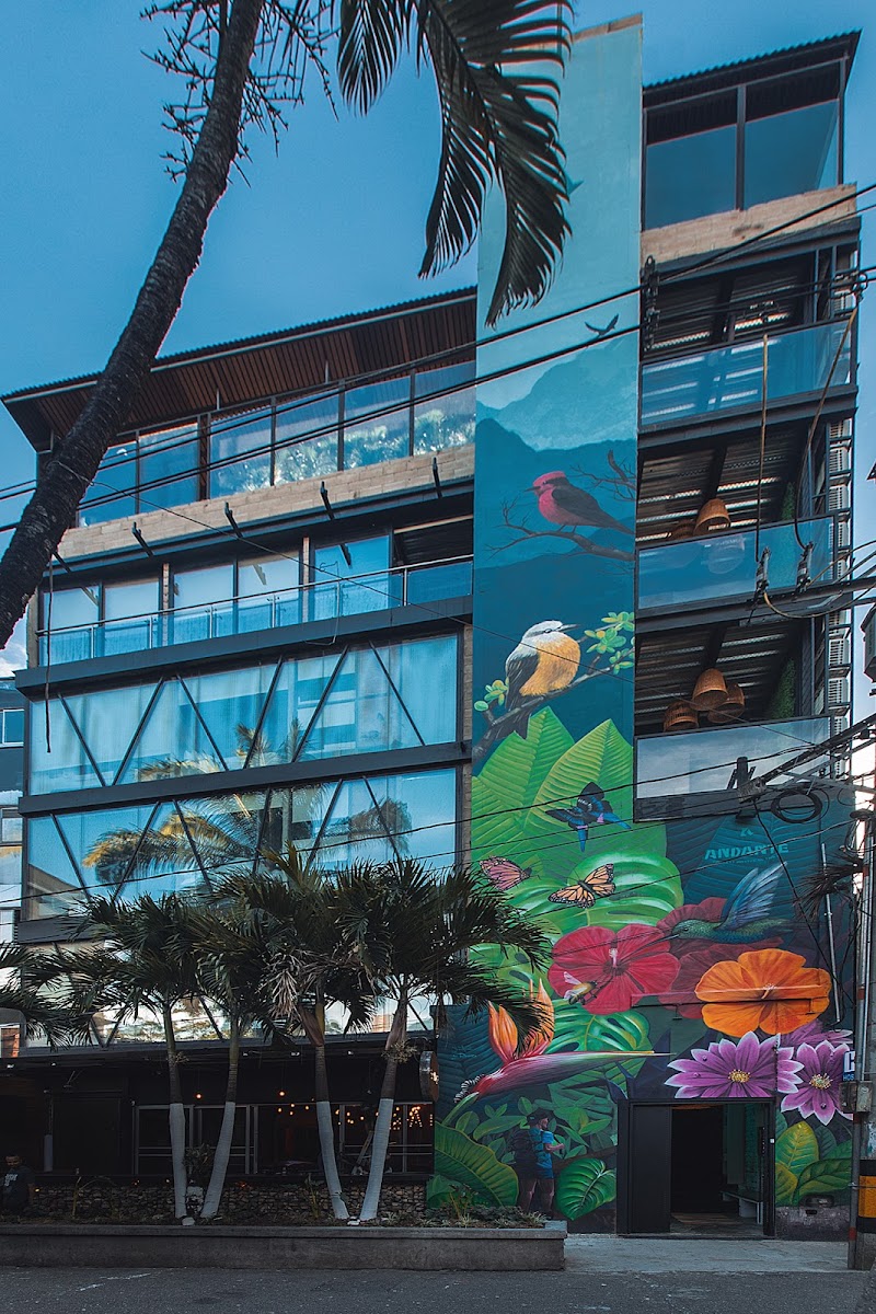 Oasis lleras