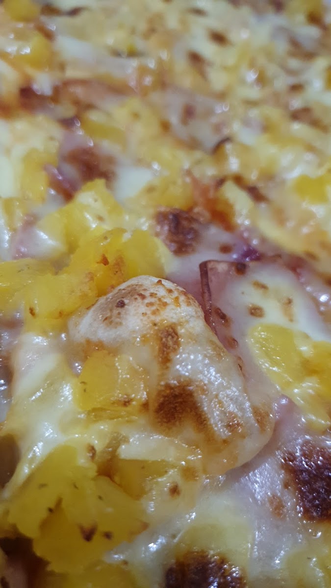 Pizza Americana La Mota