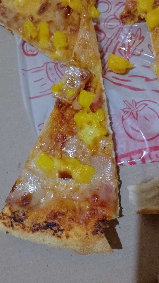 Pizza Americana La Mota