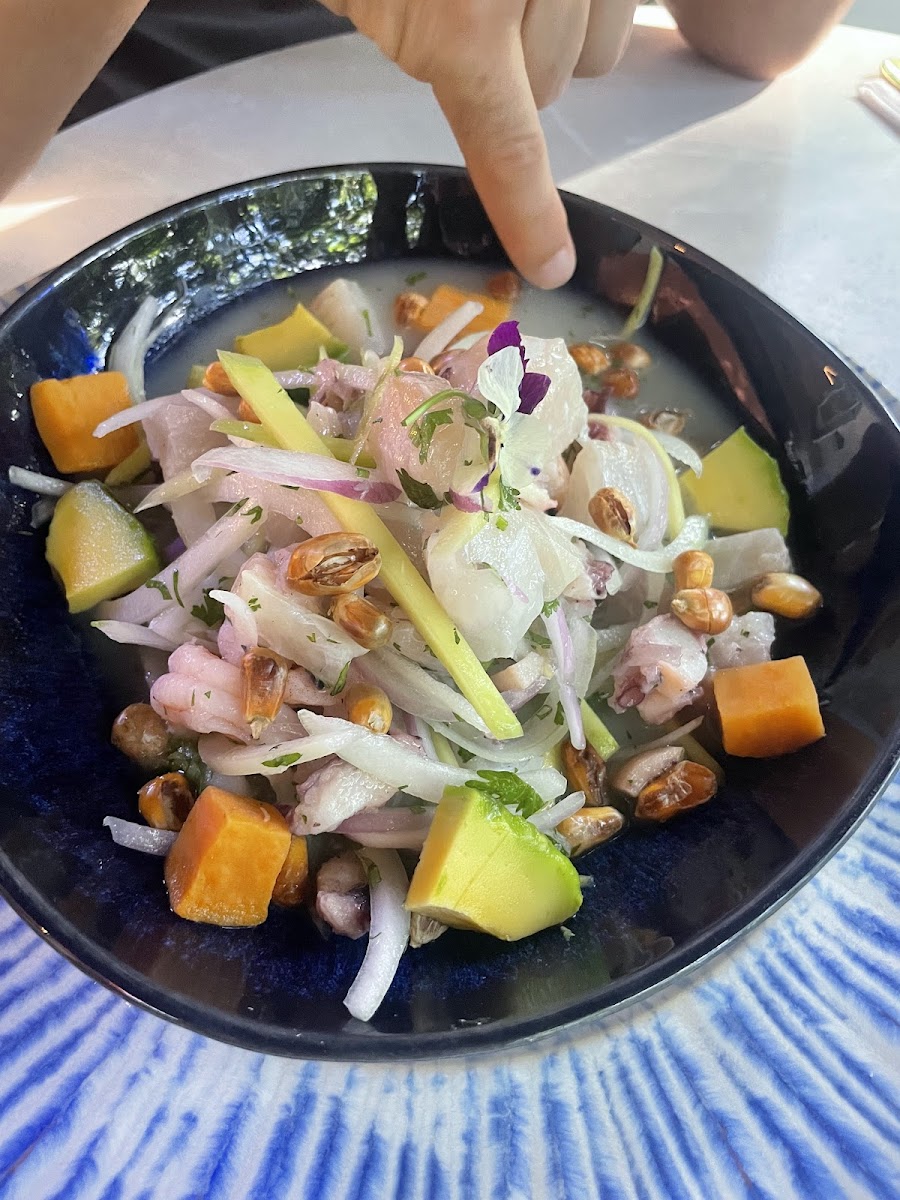 Barra Cevichera Provenza