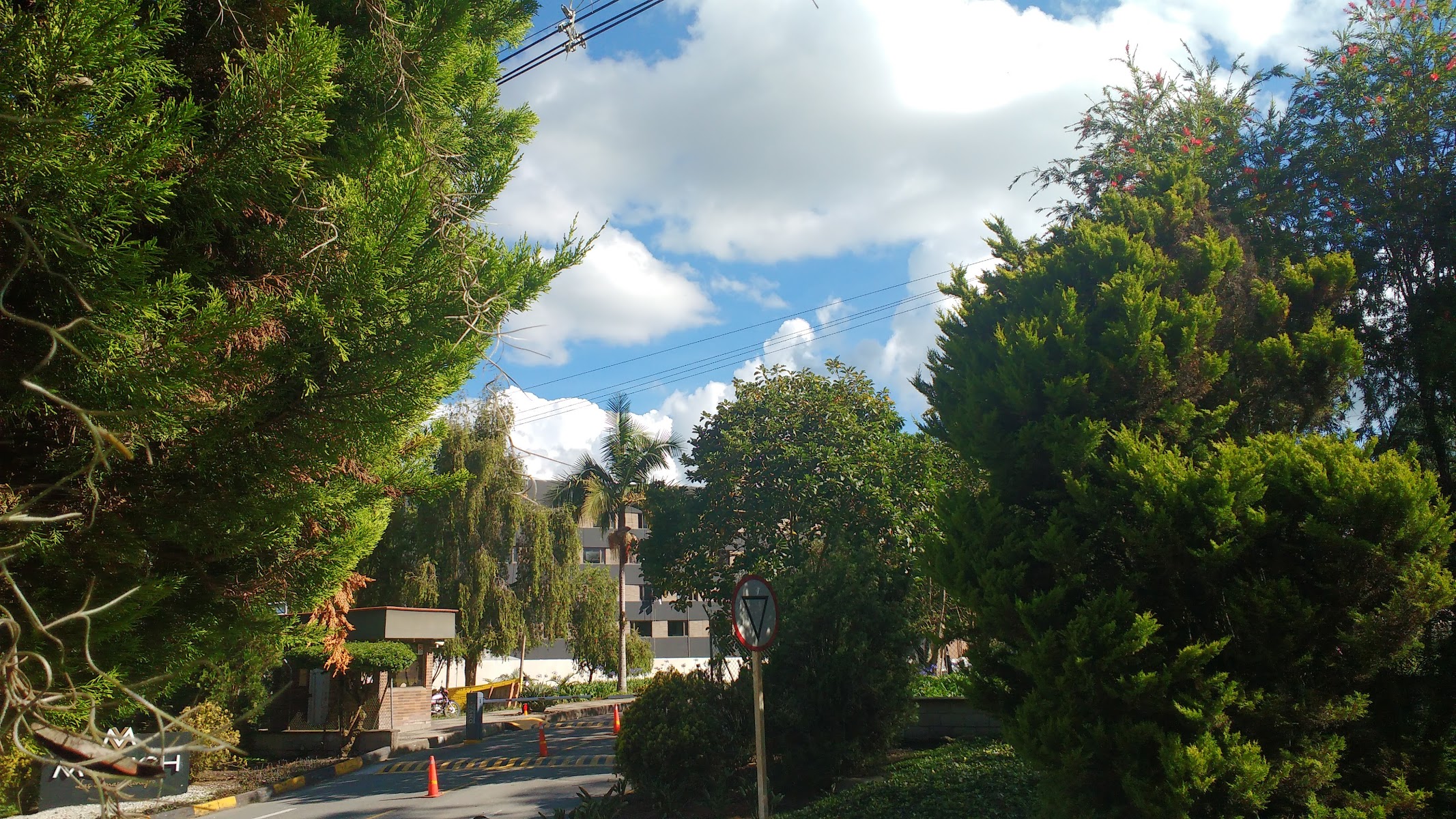Típicos y Asados Bango