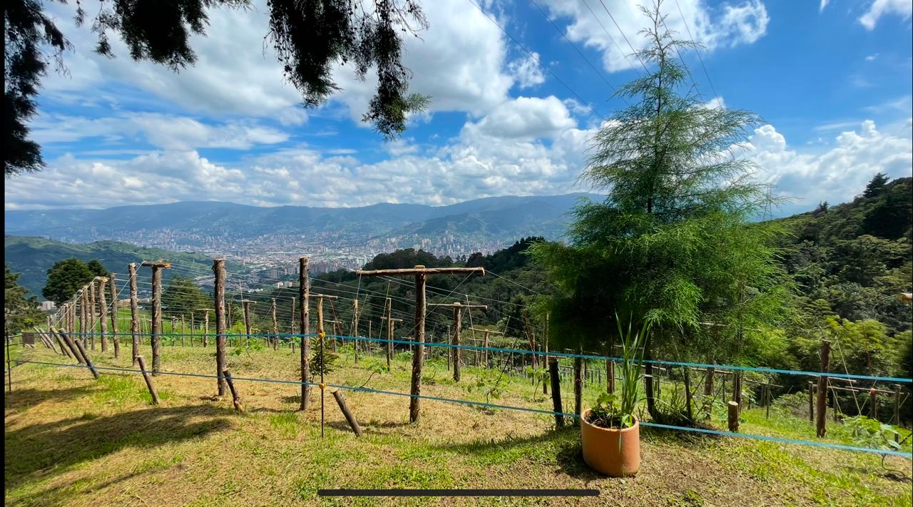 Finca Agroturistica y Gastronomica La Tribuna