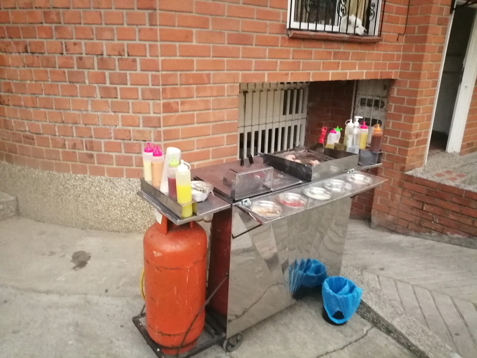 Perritos del grande