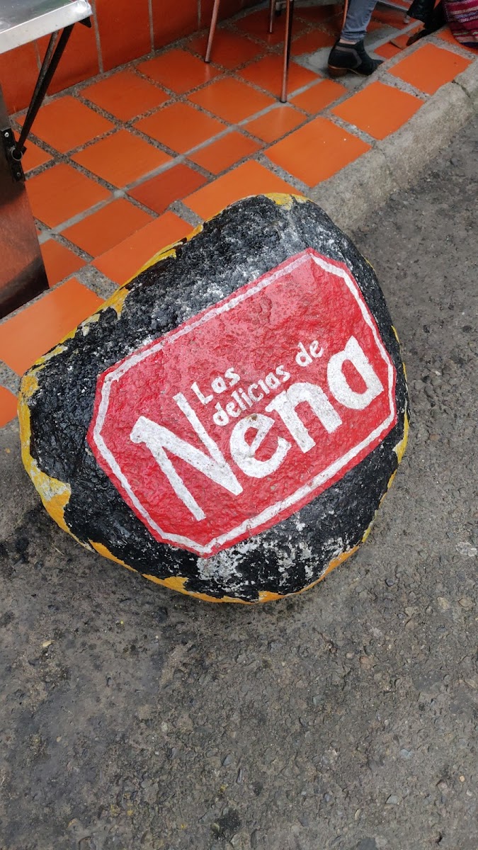 Las Delicias de Nena
