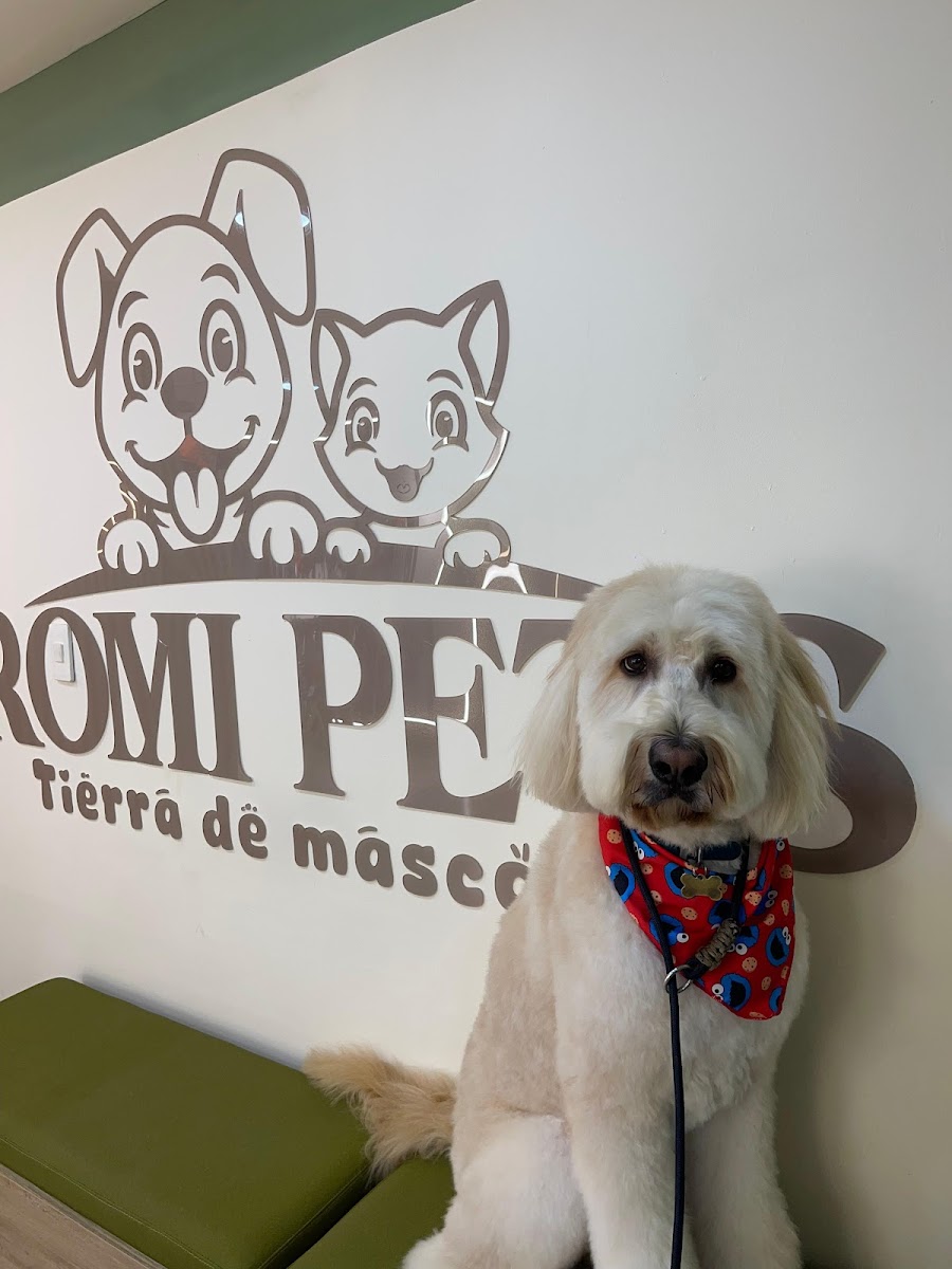 Los Quesudos Perros y Hamburguesas sede La Floresta