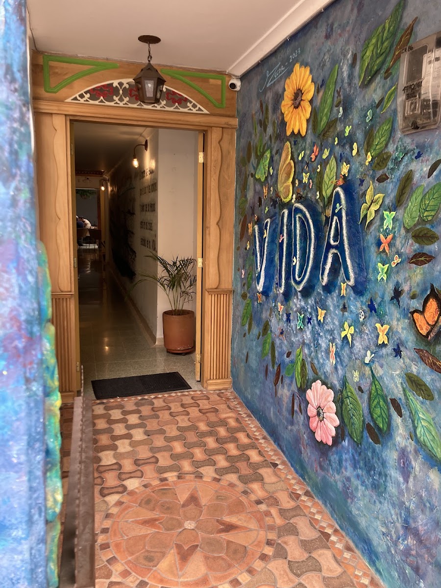 Vida